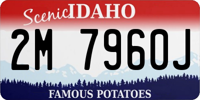 ID license plate 2M7960J