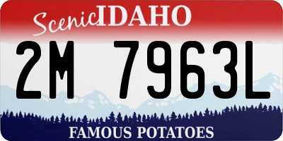 ID license plate 2M7963L