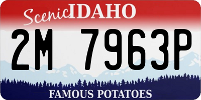 ID license plate 2M7963P