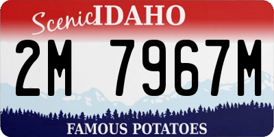 ID license plate 2M7967M