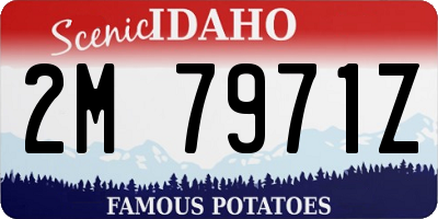 ID license plate 2M7971Z