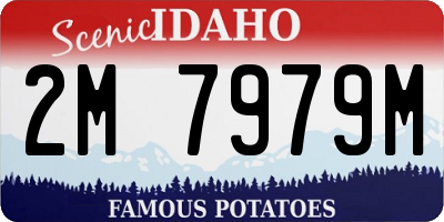 ID license plate 2M7979M