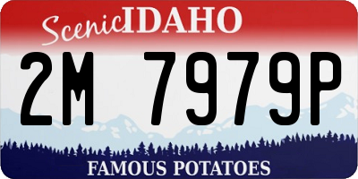 ID license plate 2M7979P