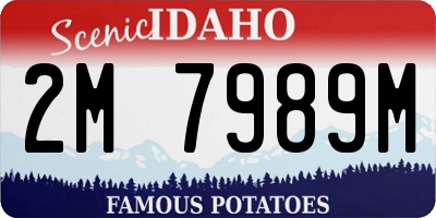 ID license plate 2M7989M