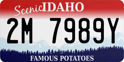 ID license plate 2M7989Y