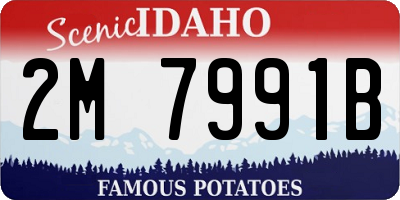 ID license plate 2M7991B