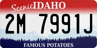 ID license plate 2M7991J