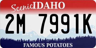 ID license plate 2M7991K