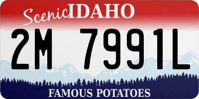 ID license plate 2M7991L