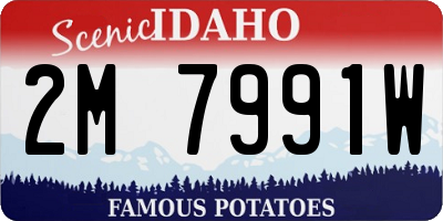 ID license plate 2M7991W
