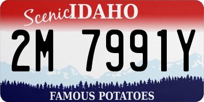 ID license plate 2M7991Y