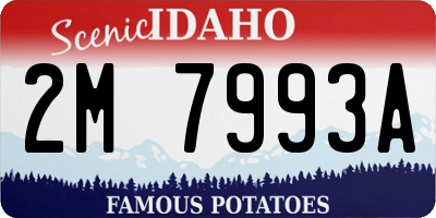 ID license plate 2M7993A