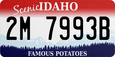 ID license plate 2M7993B