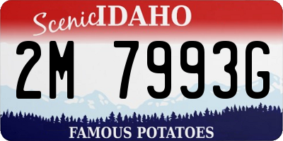 ID license plate 2M7993G