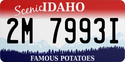 ID license plate 2M7993I