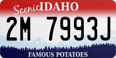 ID license plate 2M7993J