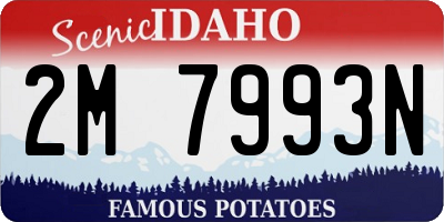 ID license plate 2M7993N