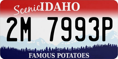 ID license plate 2M7993P