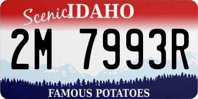 ID license plate 2M7993R
