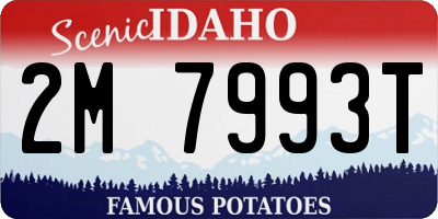 ID license plate 2M7993T