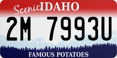 ID license plate 2M7993U