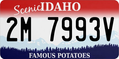ID license plate 2M7993V