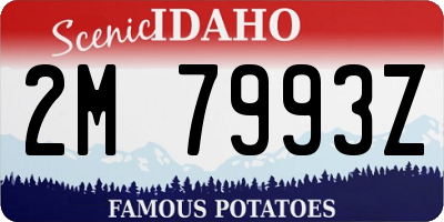 ID license plate 2M7993Z