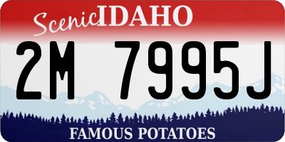 ID license plate 2M7995J