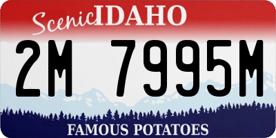 ID license plate 2M7995M