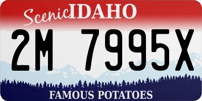 ID license plate 2M7995X