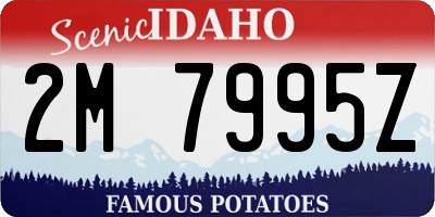 ID license plate 2M7995Z