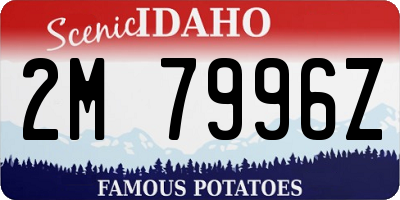 ID license plate 2M7996Z