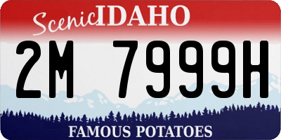 ID license plate 2M7999H