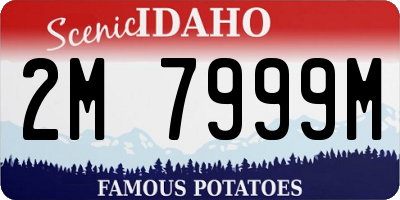 ID license plate 2M7999M