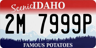 ID license plate 2M7999P