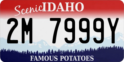ID license plate 2M7999Y