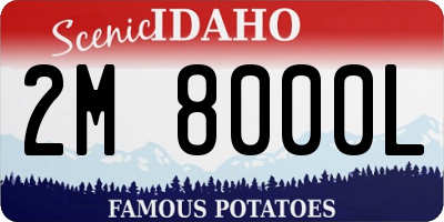 ID license plate 2M8000L