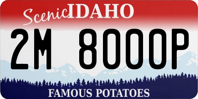 ID license plate 2M8000P