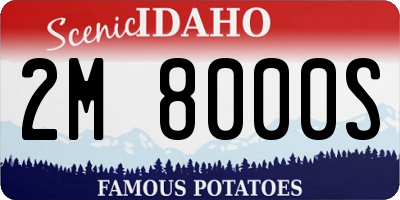 ID license plate 2M8000S