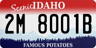 ID license plate 2M8001B