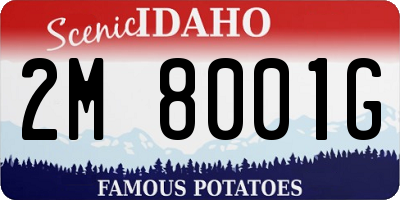 ID license plate 2M8001G