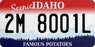 ID license plate 2M8001L