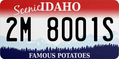 ID license plate 2M8001S