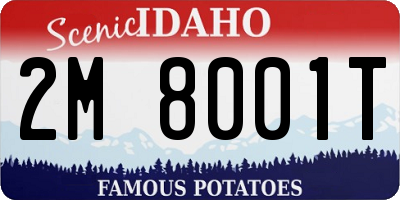 ID license plate 2M8001T