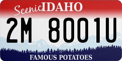 ID license plate 2M8001U