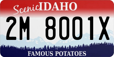 ID license plate 2M8001X