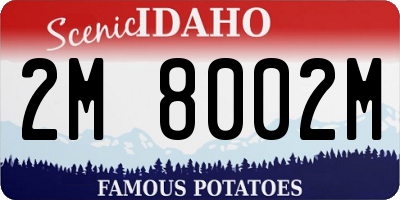 ID license plate 2M8002M