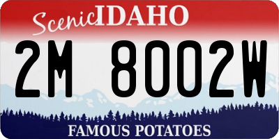 ID license plate 2M8002W