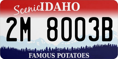 ID license plate 2M8003B