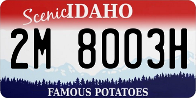 ID license plate 2M8003H